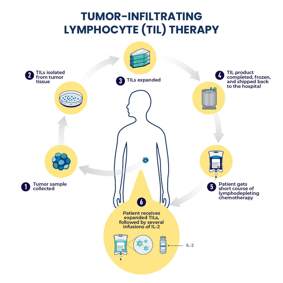 CC-Lifileucel FDA approval-Infographic-Final
